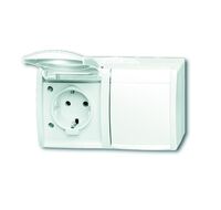 Busch-Jaeger SCHUKO® DOPPELSTECKDOSE (20/2 EBW-54)