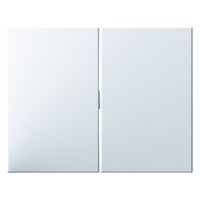 Berker WIPPE F.WSS/DWWS/DT (14357009 PWS  K.1)