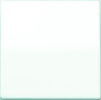 JUNG AS 591 BF WW - White - 501 U - 502 U - 503 U - 506 U - 507 U - 501-20 U - 506-20 U - 507-20 U - 502 TU - 506 TU - 507 TU - 531 U,... - IP44