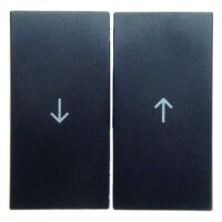 Berker 16251606 - Anthracite - Thermoplastic - 10 pc(s)