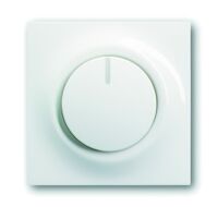 Busch-Jaeger IMP C-SCHEIBE BEL.6540-74 (6540-74)