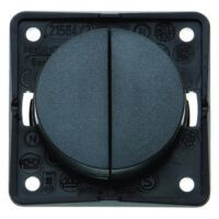 Berker FLOW/PURE DOPPELTASTERER (936752505    INTEGRO)