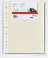 Walther Design DS-118 - White - L - Plastic - 10 sheets - 230 mm - 320 mm