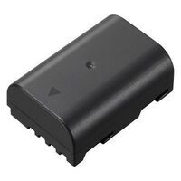 Panasonic DMW-BLF19E Akkus -Foto/Video-