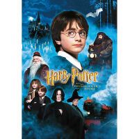 Thumbs Up ! Puzzle Harry Potter"Stein der Weisen" 50Teile