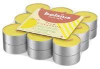 Multipack BOLSIUS True Citronella Teelichte 18PA - 8 Stück