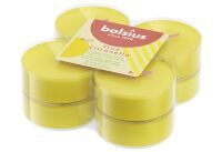 Multipack BOLSIUS Duft MaxilichteTC transp 8PA - 6 Stück
