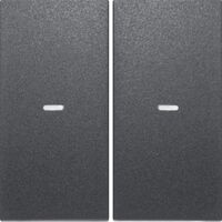 Berker Tast-Abdeckung 2f. anth 80960385