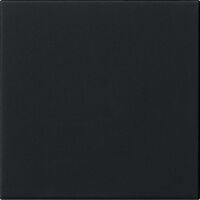 GIRA S3000 Bedienaufs. System 55 Schwarz m 5360005