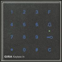 GIRA 260567 - Anthracite - IP44