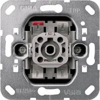 GIRA 015600 - Metallic - 250 V - 10 A