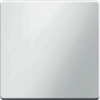 Berker 16206089 - White - Duroplast - 10 pc(s)