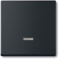 BUSCH JAEGER 2CKA006599A2968 - Plastic - IP20 - Black - 6524 U - 6526 U - 6550 U-10x - 6560 U-101 - 6593 U - 6401 U-10x - 6402 U - 2300 W - 230 V