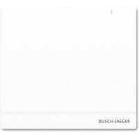 Busch-Jaeger SYSTEM ACCESS POINT 2.0 (SAP/S.13)