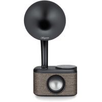 Sangean GRAMOPHONE         TISCHRADIO (CP-100D        SW/GR)