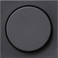 GIRA 0650 28 - Anthracite - GIRA - 1 pc(s)