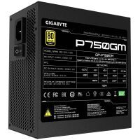 Gigabyte Netzteil P750GM             750Watt (GP-P750GM)