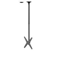 Neomounts by Newstar TV/monitor ceiling mount - 50 kg - 81.3 cm (32") - 190.5 cm (75") - 100 x 100 mm - 400 x 400 mm - 1060 - 1560 mm