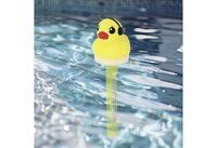 HI Pool Solar - Thermometer "Ente"