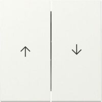 Gira WIPPE 2F PFEIL  RWS M (329427 SYSTEM 55)