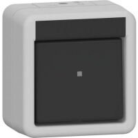 Gira WIPPSCHALTER AUSWE WG AP GRAU (310630 AUFPUTZ IP44)