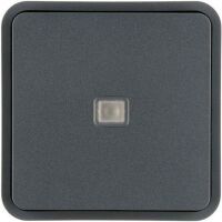 Berker WIPPE M.BESCHRF. KNX GRAU (30763545)