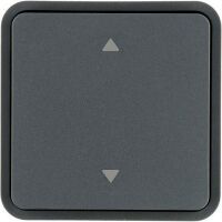 Berker KNX W.1 WIPPE F.TASTER-BA 1F.M (30653545)