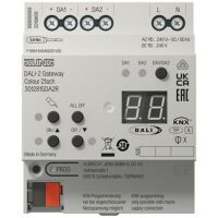 Jung KNX DALI-2 Gatew.2F (301281SDA2R)