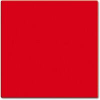 Busch-Jaeger R SI-WIPPE F. SCHALT/TAST ROT (2506-217-101)