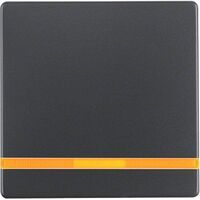 Berker 16216086 - Anthracite - Duroplast - 10 pc(s)