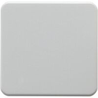 Berker 155009 - White - Thermoplastic - IP44 - 10 pc(s)