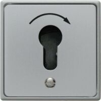 Berker 4450 - Key-operated switch - Grey - Metal - Plastic - IP44 - 250 V - 75 mm
