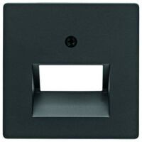 Berker ZST F.DATENDOSE 2F.SCHWARZ MAT (14096085         Q.X)