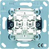 Jung DOPPEL-TASTER (2 SCHLIESSER) (535 U)