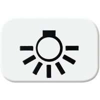 Busch-Jaeger REFL.SI SYMBOL 2525LI-214 (2525 LI-214)