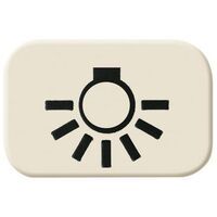 BUSCH JAEGER 2525 LI - White