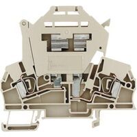 Weidmüller 1616400000 - Beige - 2.5 mm² - 79.5 mm - 19.54 g - 50 pc(s)