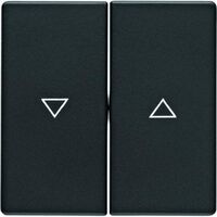 Berker 16256086 - Anthracite - 10 pc(s)