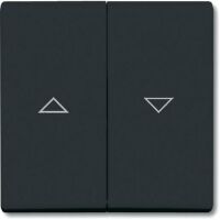 BUSCH JAEGER 1731-0-1726 - Anthracite - Busch-Jaeger - 1012-0-1309 1413-0-0590 - 70 mm - 70 mm - 1 pc(s)