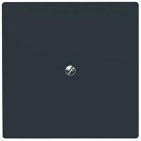 BUSCH JAEGER 2138-35 - Anthracite - IP 44 - 71 mm - 71 mm - 1.3 cm - 1 pc(s)