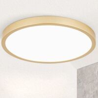 Orion DECKENL. LED 25W 2400LM 3000K (DL 7-622/30 G 25E517)