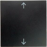 Berker Hager 16201616 - Anthracite