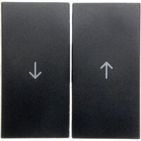 Berker 16251606 - Anthracite - Thermoplastic - 10 pc(s)