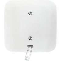 BUSCH JAEGER 2CKA001315A0027 - Pull chain switch - White - CE - 250 V - 81 mm - 81 mm