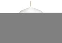 Dr. Oetker 2369 - 400 °C - Bordeaux - 22 cm - 1 pc(s)