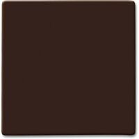 BUSCH JAEGER 2106-31 - Brown - Busch-Jaeger - 70 mm - 70 mm - 1.3 cm - 1 pc(s)