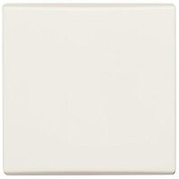 BUSCH JAEGER 2106-32 - White - Busch-Jaeger - 70 mm - 70 mm - 1.3 cm - 1 pc(s)