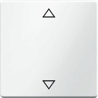 Berker Wippe m. Aufdruck Symbol P feile 16206079