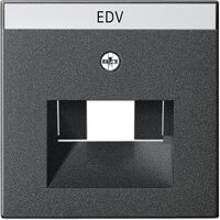 Gira ZPL.UAE/IAE M.SCHR.F.EV/E2 ANT (28428)