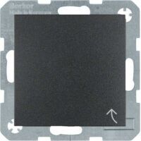 Berker SSD KLPD SCHRLIFTK ANTH MATT (41241606    S.1 IP44)